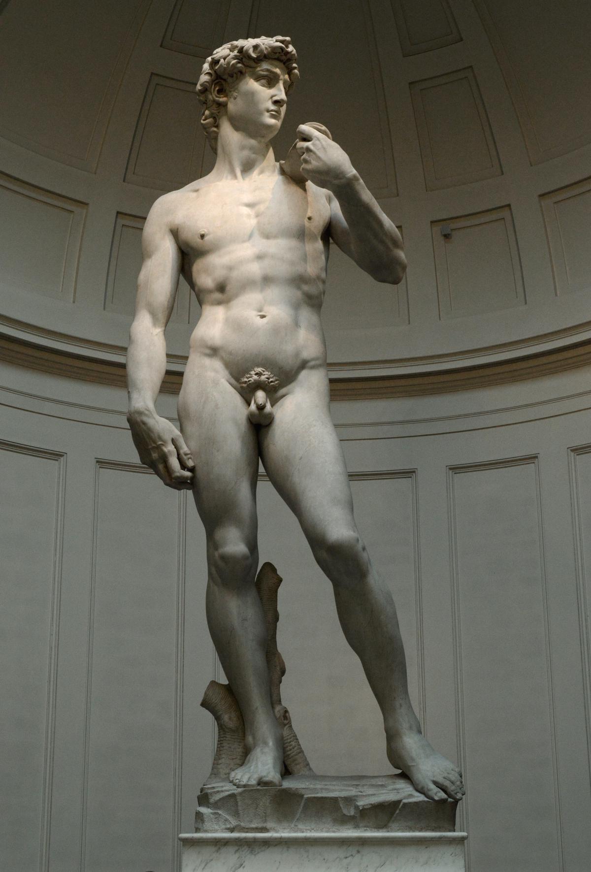 Image depicting the influence of Donatello on Michelangelo's art